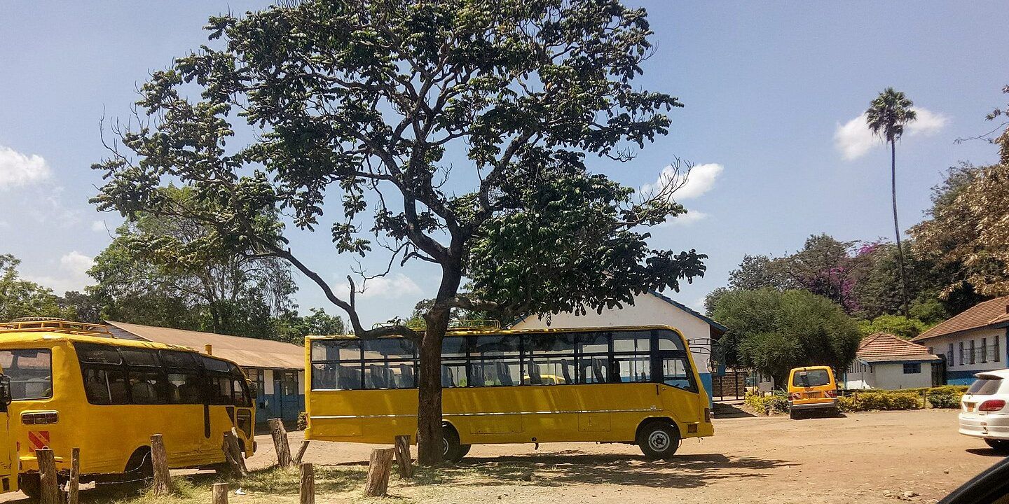School buses parked ready for the afternoon routes